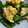 tokerin's cooksnap of when they made 簡単！苦味が絶品！明日葉の卵とじ.
