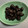 mindoママ's cooksnap of when they made ふっくらつやつや黒豆【冷凍・おせち料理】.