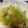 ハッピーミルクティー's cooksnap of when they made 時短！シーフードとキャベツの蒸し焼き.