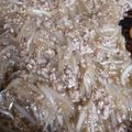 ♬あじさいのレシピ♬'s cooksnap of when they made もやしとひき肉のあんかけ丼.