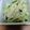 クック3IM4VX☆'s cooksnap of when they made ポン酢味の常備菜！豆苗と大根のツナ炒め.