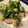 クックNP9NVY☆'s cooksnap of when they made 簡単！ベーコンとまいたけの小松菜炒め.