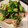 クックNP9NVY☆'s cooksnap of when they made 簡単！ベーコンとまいたけの小松菜炒め.