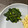 。かのこ。's cooksnap of when they made ほうれん草ごま和え～少し甘め.