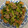 郁たん's cooksnap of when they made 青菜と豚ひき肉のオイスターソース炒め.