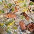 アイネ888's cooksnap of when they made ☆鮭と白菜のチーズクリーム煮☆.