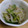 petokko's cooksnap of when they made もやしときゅうりのナムル.