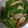 ｍａｋｉ0124's cooksnap of when they made ピーマンとちくわの甘め炒め.