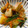 クックZ2YAQW☆'s cooksnap of when they made 【学校給食】粉ふきいもの土佐あえ.