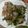 きなりん＊'s cooksnap of when they made ピーマンと豚ロース薄切り肉の炒め物.