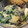 ゆるмαмα's cooksnap of when they made 長ネギとワカメの酢味噌和え(ぬた).