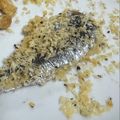 しーゆーのおかん's cooksnap of when they made 簡単サクサク！イワシの香草パン粉焼き.