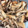 Chimy08's cooksnap of when they made お弁当に✿しめじとちくわの照り焼き.