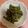 クックZ5NPNU☆'s cooksnap of when they made 5分で♪旨味たっぷりピーマンのおかか和え.