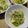 まーぶる112's cooksnap of when they made はまる！レタスが丸々食べれちゃうサラダ♪.