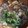 秀狼1011's cooksnap of when they made キクラゲと卵のとろ〜り中華スープ♪.