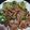 クックUH3NVG☆'s cooksnap of when they made 鶏もも肉炒め 五香粉風味＊青梗菜の花飾り.