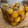 華honey's cooksnap of when they made 完熟梅の甘煮.