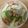かおり♡♡♡'s cooksnap of when they made シーフードとキャベツの味噌クリームパスタ.