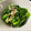 のんのんSTELLA's cooksnap of when they made 農園レシピ・菜の花からし和え.