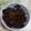 クックWT6ETR☆'s cooksnap of when they made だし昆布の佃煮.