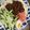 クックZNOFAC☆'s cooksnap of when they made 基本の肉味噌.