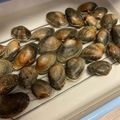 カプチッチ's cooksnap of when they made 絶対失敗しない～あさりの砂抜き.