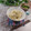 クックHG9V8Y☆'s cooksnap of when they made 大根間引菜とちりめんじゃこの炊き込みご飯.