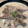 saki1010's cooksnap of when they made ■旨い！豚肉と白菜のこく旨クリーム煮■.