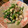 こうせい(=ﾟωﾟ)ﾉ's cooksnap of when they made ほうれん草とたくあんの白和え.