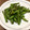pali's cooksnap of when they made 簡単♬インゲンの焼肉タレマヨ炒め.