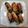 宮っち's cooksnap of when they made ☆豆苗の豚肉巻き.