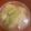 ミルクボール's cooksnap of when they made キャベツとコーンの洋風味噌汁.
