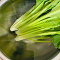チェックのミニくま's cooksnap of when they made 水菜の洗い方♡(❊´︶`❊)｡۞·:.