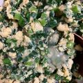 手抜きクック's cooksnap of when they made 簡単にらたま丼.