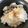 papikun's cooksnap of when they made キャベツ昆布の玄米ごはん.
