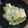 ばたみそーぱん☆'s cooksnap of when they made 簡単！ズッキーニのカルパッチョ.