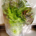 のんべぇヒロ's cooksnap of when they made 簡単‼長持ち‼サニーレタスの保存法.