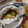 まみお✳'s cooksnap of when they made さばとねぎのみそホイル焼き.