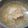 島猫。's cooksnap of when they made 鶏手羽元で参鶏湯風.