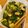 ☆☆メイ☆☆'s cooksnap of when they made きゅうりの塩昆布浅漬け.