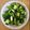 KunaID's cooksnap of when they made やみつききゅうり.