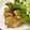 natsukori's cooksnap of when they made 鱈のムニエル.