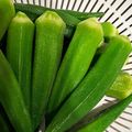 シンフォニア's cooksnap of when they made オクラの美味しい茹で方〜八百屋さん直伝.