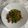 ナピト's cooksnap of when they made 牛コマ肉で美味しく！牛丼風弁当！.