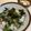 papikun's cooksnap of when they made ほうれん草と豚ひき肉のどんぶり.