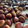 のりぺぺ's cooksnap of when they made 生栗は下処理(虫止め)後に熟成させよう.