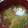あゆたっくん's cooksnap of when they made きくらげとレタスの味噌汁.