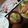 よちりん's cooksnap of when they made 節約☆ブロッコリーの茎の味噌汁.