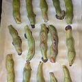 yama_miu's cooksnap of when they made 空豆焼いただけ（ｸﾞﾘﾙorｵｰﾌﾞﾝ）.
